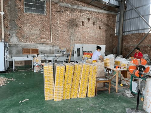 農(nóng)村辦衛(wèi)生紙加工廠 市場(chǎng)前景與個(gè)人衛(wèi)生用品銷售策略探析